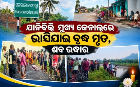ଯାନିବିଲି ମୁଖ୍ୟ କେନାଲରେ ଭାସିଯାଇ ବୃଦ୍ଧ ମୃତ, ଶବ ଉଦ୍ଧାର ।