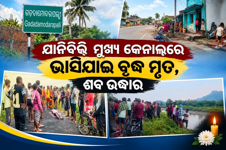 ଯାନିବିଲି ମୁଖ୍ୟ କେନାଲରେ ଭାସିଯାଇ ବୃଦ୍ଧ ମୃତ, ଶବ ଉଦ୍ଧାର ।